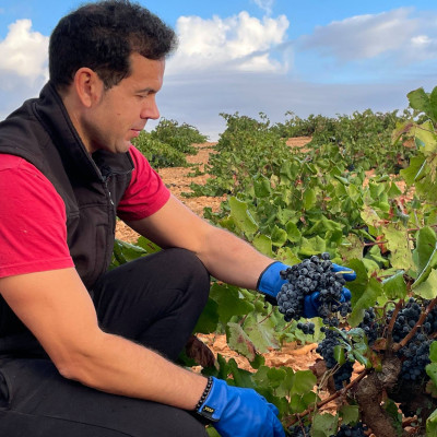 Rượu vang Organic Piqueras VS Monastrell & Garnacha Tintorera (Spain) kèm túi hộp,đồ khui