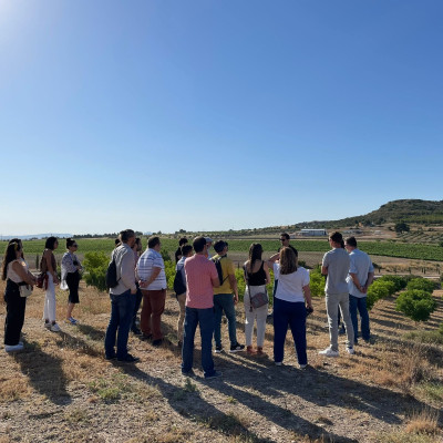 Rượu vang Organic Piqueras VS Monastrell & Garnacha Tintorera (Spain) kèm túi hộp,đồ khui