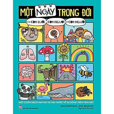 Kim Đồng - Một ngày trong đời của con lười, con ngươi và con người
