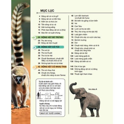 Sách - Bách Khoa Thiếu Nhi - Ai Cập Cổ Đại + Bách Khoa Thiếu Nhi Động Vật Có Vú - Combo 2 Cuốn Bìa Cứng - Minh Thắng