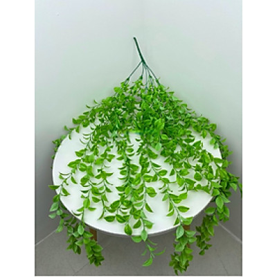 Cụm lá rủ giả - Dây leo trang trí - dài 40cm đến 80cm - Cây giả, hoa lụa Decor trang trí nhà cửa