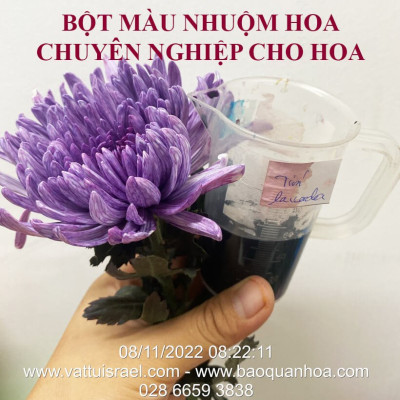 Thuốc Bột Nhuộm Hoa Tươi  màu thực phẩm Ấn Độ (Combo 3 hộp tùy màu) giúp đổi màu hoa cắt cành (1 hủ pha 12L nước màu)