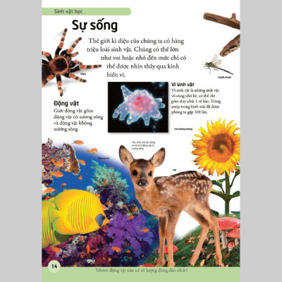 Bách Khoa Cho Trẻ Em - Bách Khoa Khoa Học