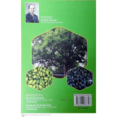 Sách - Cách Trồng Cây Trám - NXB Nông Nghiệp