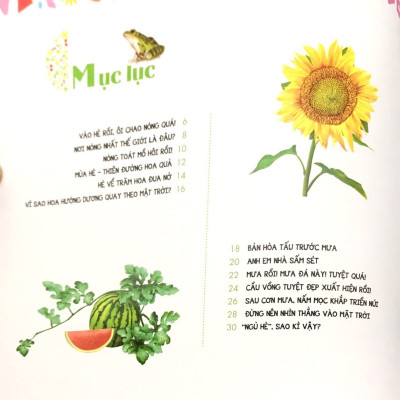 Em Yêu Thiên Nhiên Bốn Mùa - Mùa Hè - Ếch Kêu Râm Ran - ML