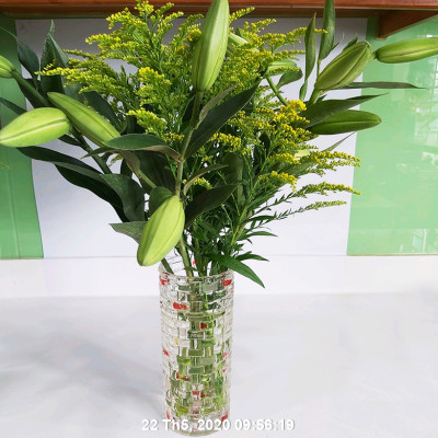 Set 50 gói Bột Dung Dịch Dưỡng Hoa LILY Longlife Nhập khẩu Israel giúp hoa Lily tươi lâu gấp 2 lần, cánh hoa đậm màu và 14 ngày không thay nước cắm hoa (1 gói 5gr pha được 0.5 lít nước) 