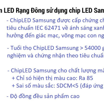 Bóng Đèn Tròn 30W Rạng Đông - Samsung ChipLED