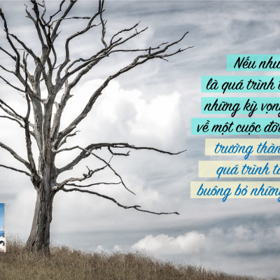 Sách Bản Giao Hưởng Cuộc Sống - Ấn Bản Đặc Biệt Hạt Giống Tâm Hồn 