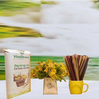 Ống hút gạo ăn được của Vinastraws kích thước 8mm, 40 ống/ hộp