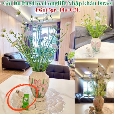 Gói Bột Cắm Hoa Tươi Nhập Khẩu Israel hiệu Longlife 5gr x 1 bình hoa tươi (tổng 30 goi x 30 bình hoa) giữ hoa tươi lâu gấp 2 lần và 14 ngày không thay nước mới