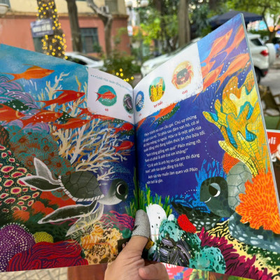 (Bộ 4 cuốn) TULI TULI KỂ CHUYỆN: NHÀ AI Ở ĐÂU – Zofia Stanecka – Hà Anh dịch – Vizibook – NXB Phụ nữ Việt Nam