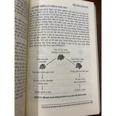 Toàn Cảnh Dinh Dưỡng - Thức Tỉnh và Hành Động