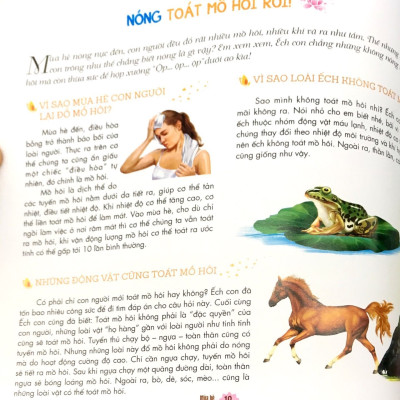 Em Yêu Thiên Nhiên Bốn Mùa - Mùa Hè - Ếch Kêu Râm Ran - ML