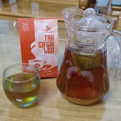 Combo 03 Hộp Trà Cà gai leo Thái Hưng 25 túi lọc x 05g (125g) - Mát gan, giải độc, giải rượu, giảm mụn nhọt