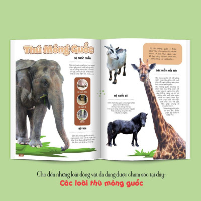 Thảo Cầm Viên Sài Gòn - Kho Báu Trong Lòng Thành Phố (Bìa Mềm) - Bản Quyền