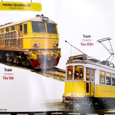 Bộ Sách Từ Điển Bằng Tranh: Hoa, Quả, Rau Củ - Chữ Cái Và Số Đếm - Phương Tiện Giao Thông (Bộ 3 Cuốn)