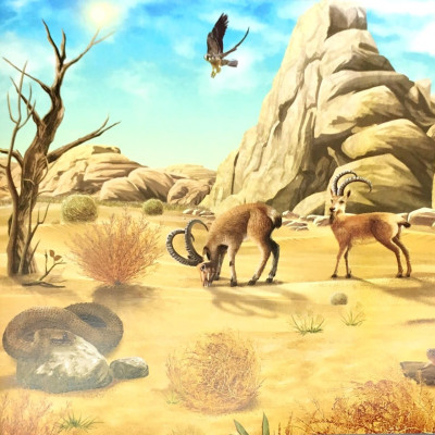 Em Yêu Thiên Nhiên Bốn Mùa - Mùa Hè - Ếch Kêu Râm Ran - ML