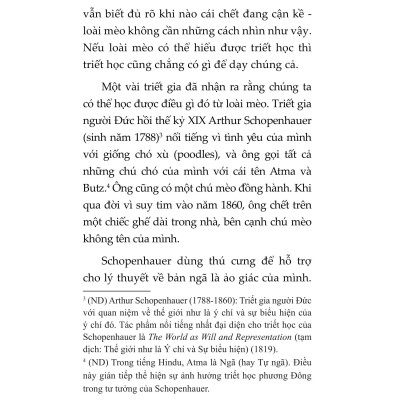 Mèo Và Triết Lý Nhân Sinh