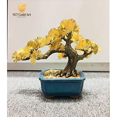 chậu tùng la hán dát vàng (20x26x9cm) MT Gold Art- Hàng chính hãng, trang trí nhà cửa, phòng làm việc, quà tặng sếp, đối tác, khách hàng, tân gia, khai trương