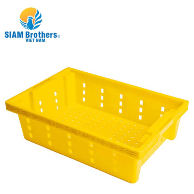 Khay nhựa đựng trái cây siêu bền Siam Brothers - Vàng