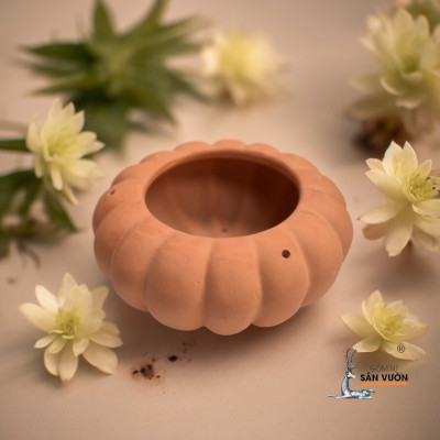 Chậu Treo Gốm Đất Nung Hình Bí Ngô