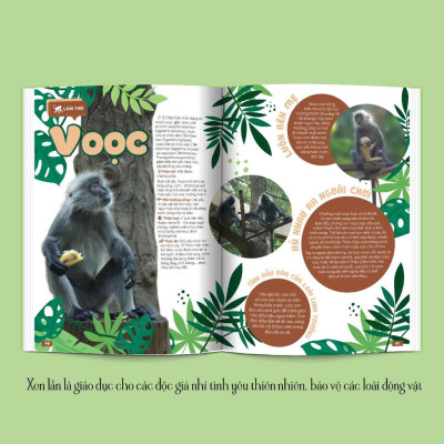 Thảo Cầm Viên Sài Gòn - Kho Báu Trong Lòng Thành Phố (Bìa Mềm) - Bản Quyền