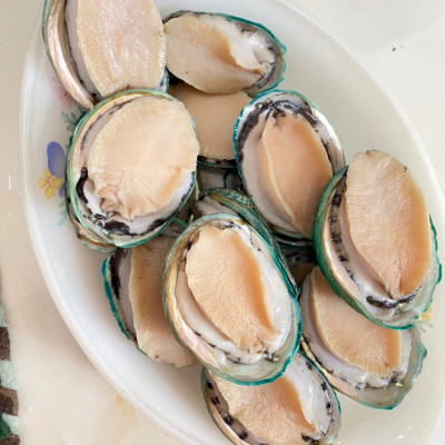 Bào ngư Úc viền xanh ( size :8-10 con)- 1kg