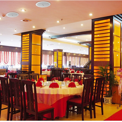 Loa Âm Trần Độc Đáo Chất Âm Hay SAST 5 inch S1-4 Hàng Chính Hãng