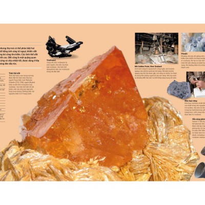 Đá Quý Và Khoáng Sản - Bìa Cứng (Tái Bản)