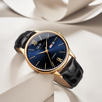 Đồng hồ nam chính hãng IW CARNIVAL IW529G-2 Kính sapphire ,chống xước ,Chống nước 30m ,Bảo hành 24 tháng,Máy cơ (Automatic),dây da cao cấp, thiết kế đơn giản dễ đeo