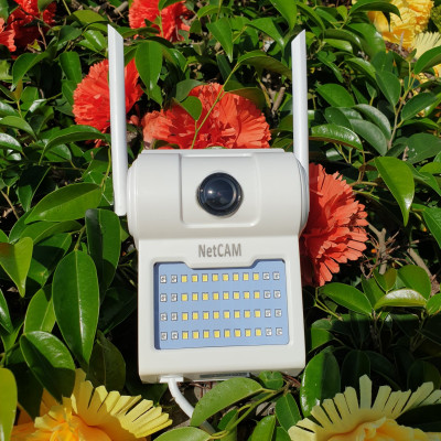 Camera IP Wifi NetCAM WL140, Độ phân giải 2.0MP / 5.0MP, Góc Nhìn Rộng 140º - Hàng Chính Hãng