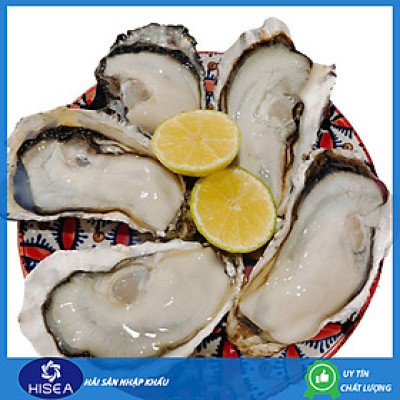 Hàu sữa Nhật Hyogo ( Size :6-8 con)   -   1kg