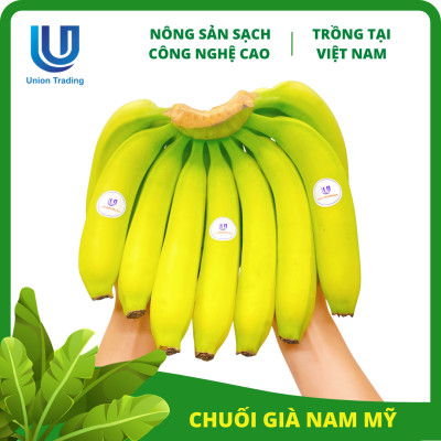 Chuối Tươi Union Trading - Thùng 13Kg - Thơm Dẻo, Giàu Dinh Dưỡng - Trồng Công Nghệ Cao Tại Việt Nam