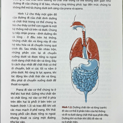 Giải phẫu học YOGA