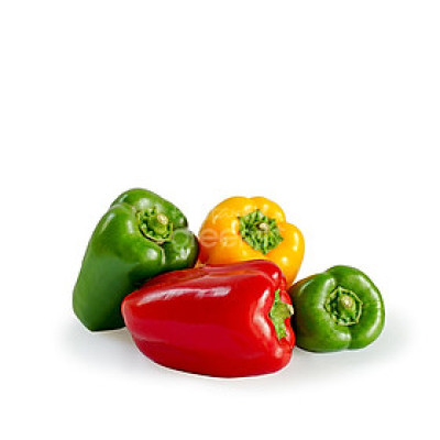 ỚT CHUÔNG TÍM VGAP CK