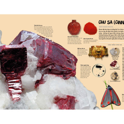 Đá Quý Và Khoáng Sản - Bìa Cứng (Tái Bản)