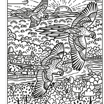 Birds Magic Painting Book