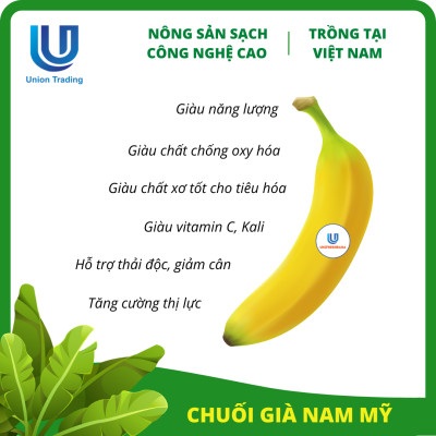 Chuối Tươi Union Trading - Hộp 1Kg - Thơm Dẻo, Giàu Dinh Dưỡng - Trồng Công Nghệ Cao Tại Việt Nam