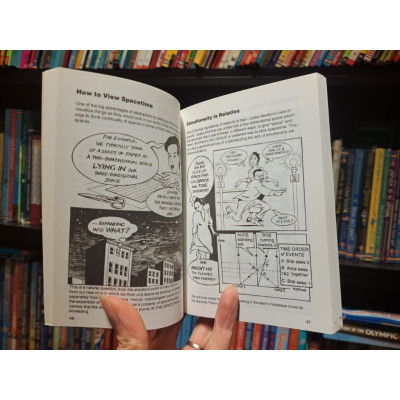 Sách - Introducing Relativity A Graphic Guide by Bruce Bassett - Science /Physics /Nonfiction in English