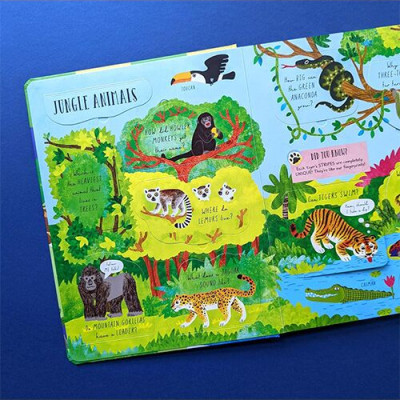 Laege Question and Answer Flap Book - Animals by  Rachel Moss