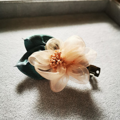 Bộ 2 kẹp tóc 2 mẫu khác nhau cho bạn gái, phong cách Hàn Quốc, giao màu ngẫu nhiên