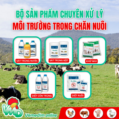 Fenben 10% (Fenbendazole) Đặc trị giun và sán cho chó, mèo, dùng được cho chó, mèo nhỏ và chó, mèo mang thai, Chai 120ml, Sản phẩm Vemedim
