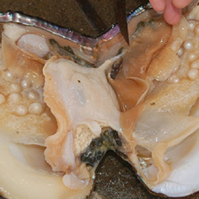 Combo Vòng đeo tay Ngọc Trai Nuôi cấy tự nhiên đính đá Cẩm Thạch, KÈM BẢN PHOTOCOPY GIẤY KIỂM ĐỊNH, KÈM HỘP CUNG HỶ LÓT NHUNG, ĐÍNH HOA HỒNG