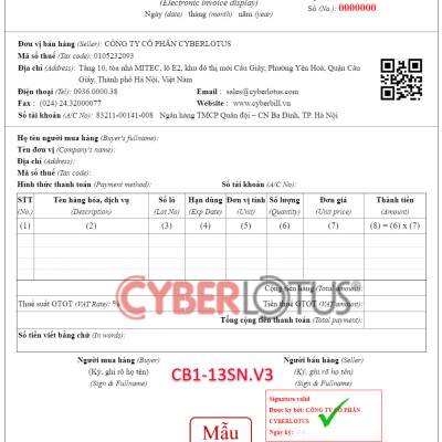 COMBO USB Chữ ký số Newca gói 3 năm + Hóa đơn điện tử Cyberbill 300 số
