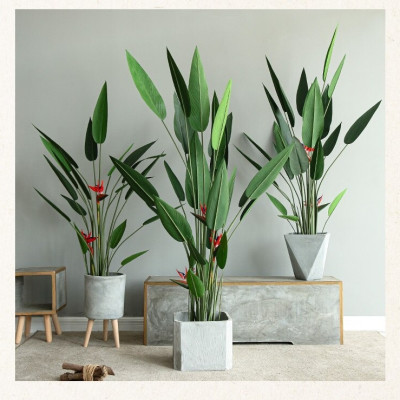 Cây thiên điểu lá nhọn giả - Size từ 120cm, 160cm, 180cm - Cây giả, hoa lụa Decor trang trí nhà cửa