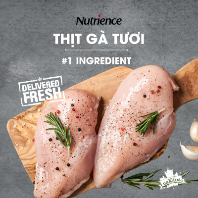 Thức Ăn Cho Mèo Trưởng Thành Nutrience Infusion Bao 2.27kg - Thịt Gà, Rau Củ & Trái Cây Tự Nhiên