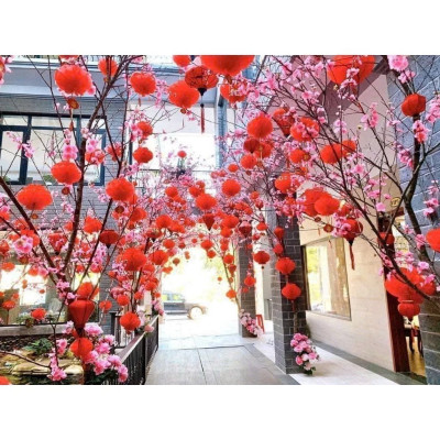 Combo 10 Lồng Đèn Đỏ Trang Trí Tết Bằng Nilon Chống Nước Mẫu Đèn Tổ Ong - Hàng Chính Hãng MINIIN