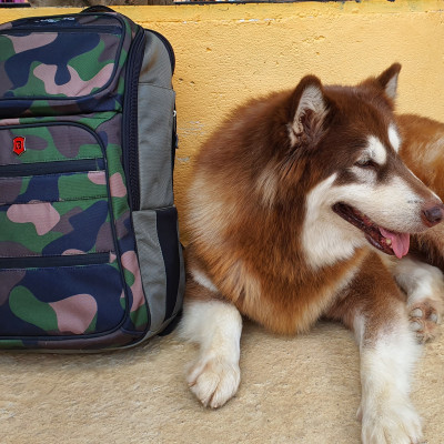 Balo LUGBRO GAMING EU LBV010CJ