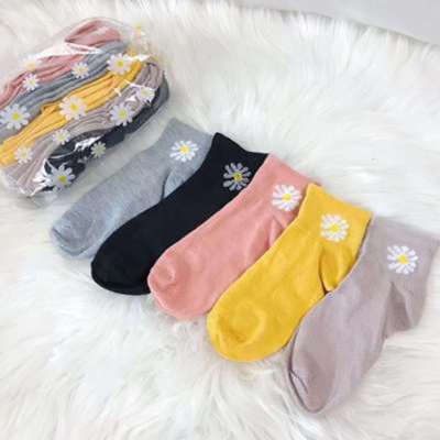 Túi 10 đôi tất gấu , hoa cúc nữ ,cổ ngắn nhiều màu dễ thương vải cotton đẹp và bền kèm túi dây rút xinh xắn cute cho phái nữ