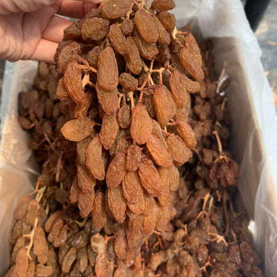 Nho khô nguyên cành Thompson hộp 300g